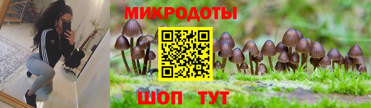 Псилоцибиновые грибы прущие грибы  Галлюциногенные грибы GOLDEN TEACHER  Солнечногорск  Вход с VPN 
